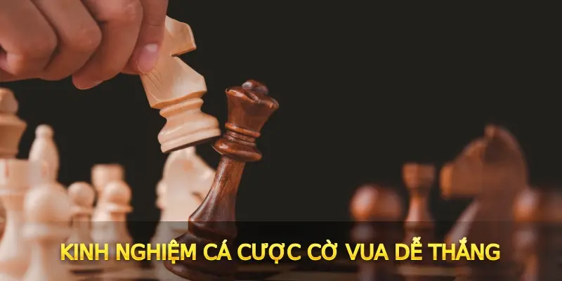 Kinh nghiệm cá cược cờ vua dễ thắng