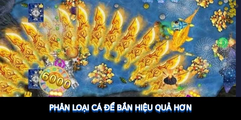 Phân loại cá để bắn hiệu quả hơn