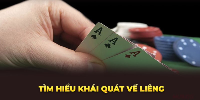 Tìm hiểu khái quát về liêng