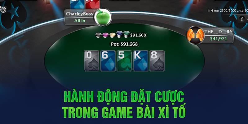 Hành động đặt cược trong game bài xì tố 