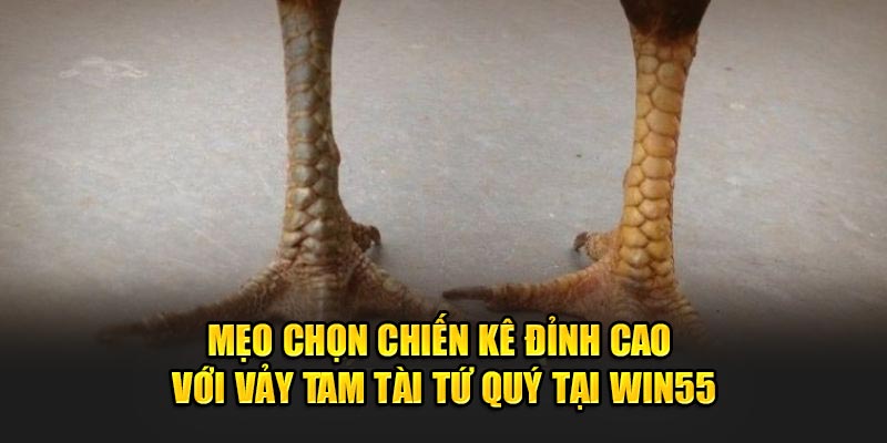 Meo-Chon-Chien-Ke-Dinh-Cao-Voi-Vay-Tam-Tai-Tu-Quy-Tai-Win55