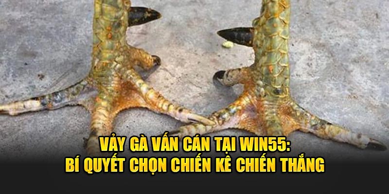 Vay-Ga-Van-Can-Tai-Win55-Bi-Quyet-Chon-Chien-Ke-Chien-Thang