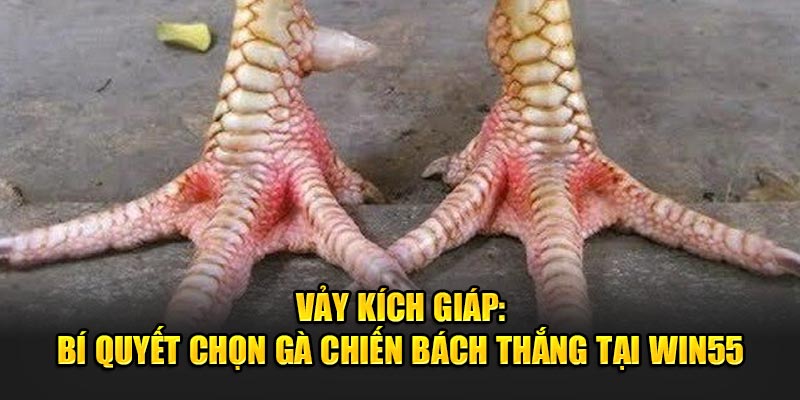 Vay-Kich-Giap-Bi-Quyet-Chon-Ga-Chien-Bach-Thang-Tai-Win55