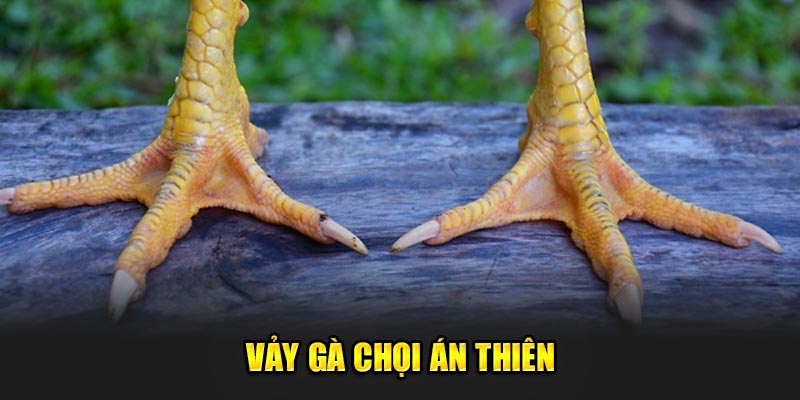 Vay-ga-choi-an-thien