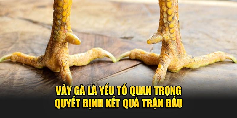 Vay-ga-la-yeu-to-quan-trong-quyet-dinh-ket-qua-tran-dau