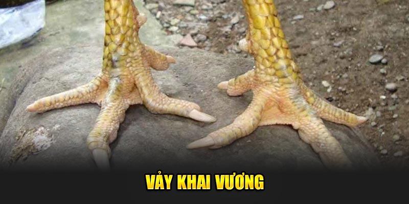 Vay-khai-vuong