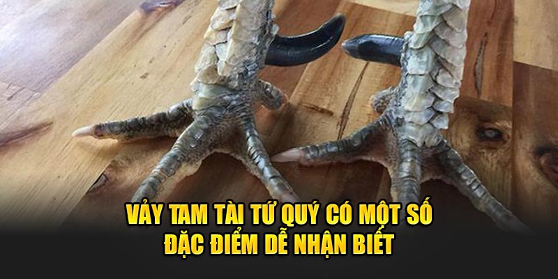 Vay-tam-tai-tu-quy-co-mot-so-dac-diem-de-nhan-biet